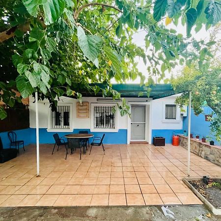 Estudio Adosado Acogedor Con Jardin, Barbacoa Y Parking Privado Alicante Exteriér fotografie