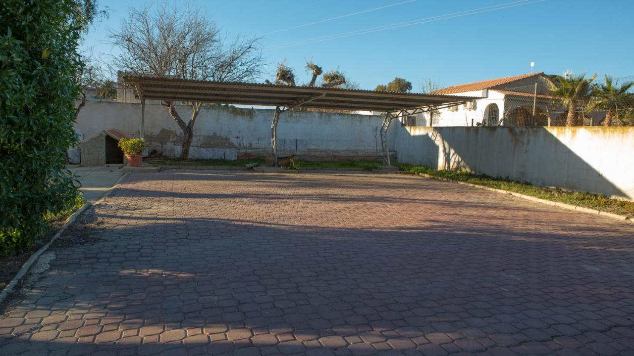 Estudio Adosado Acogedor Con Jardin, Barbacoa Y Parking Privado Alicante Exteriér fotografie
