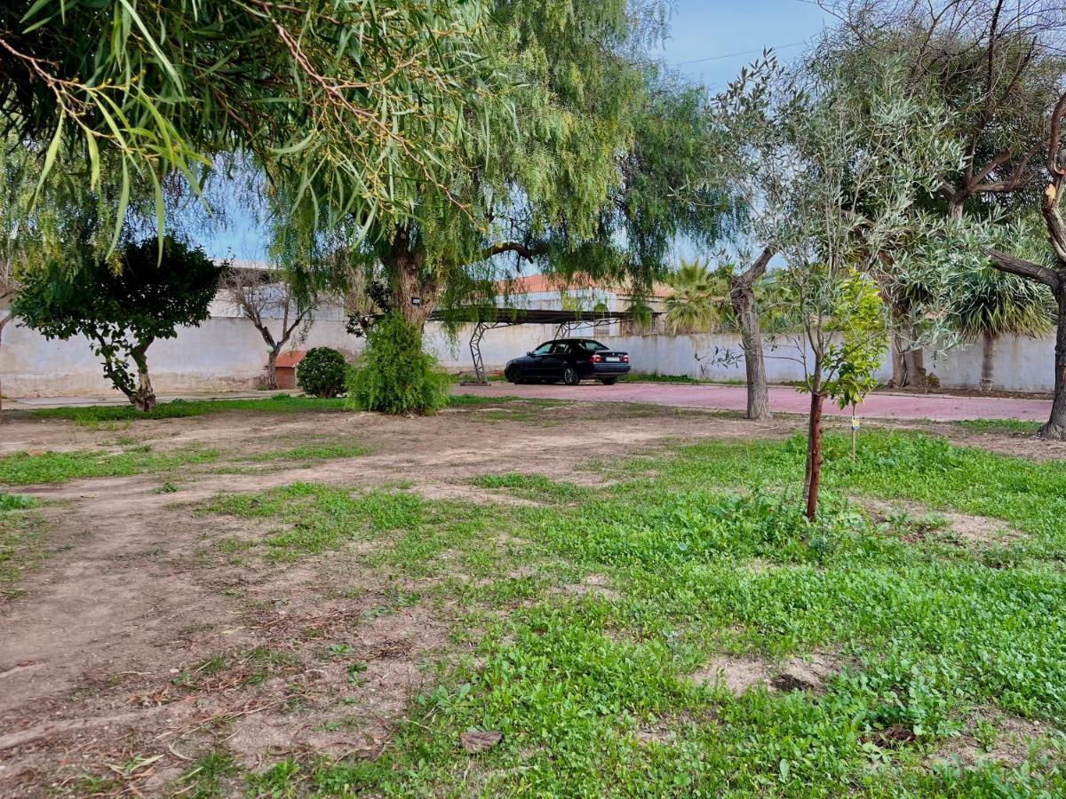 Estudio Adosado Acogedor Con Jardin, Barbacoa Y Parking Privado Alicante Exteriér fotografie